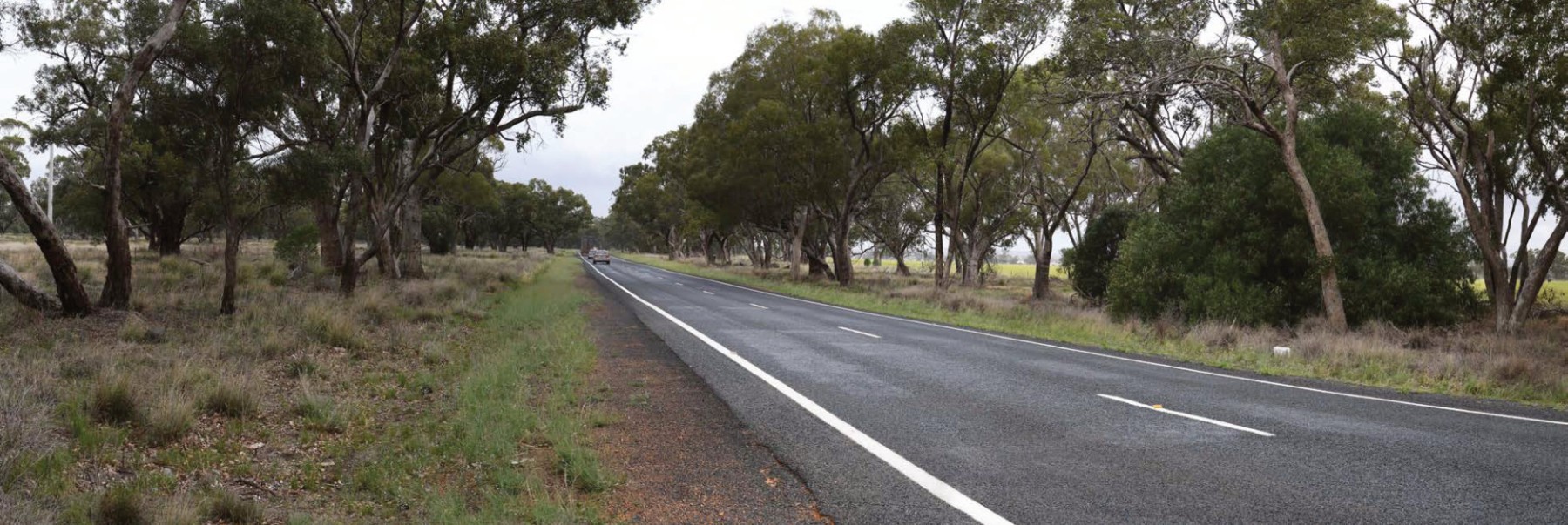 Rail Crossing — Existing