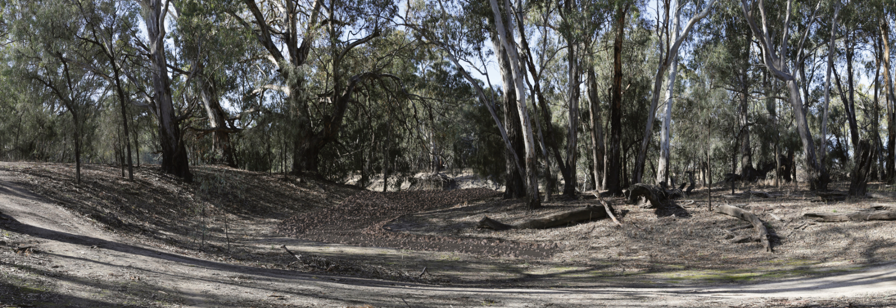 Burra Creek — Proposed