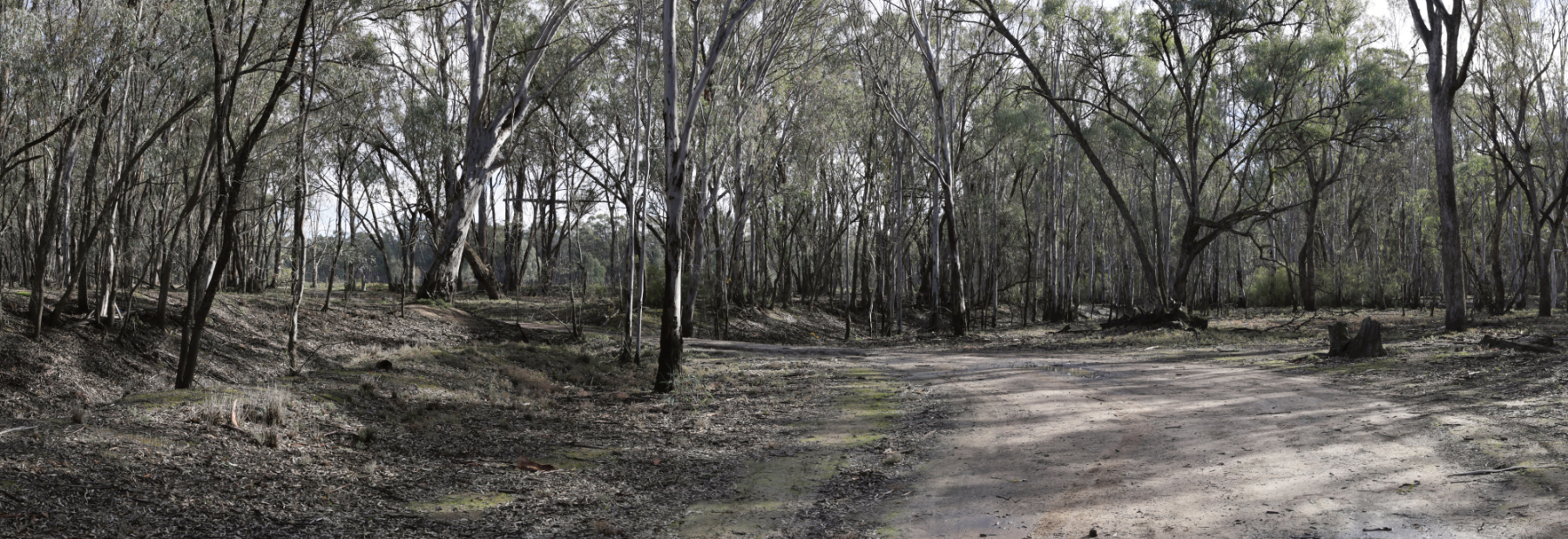Gunbower — Existing